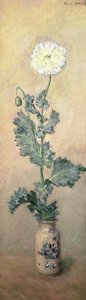 Witte papaver, 1883